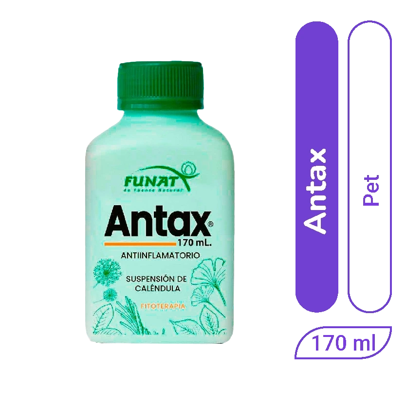 Antax Funat pet 170ml x 1 und